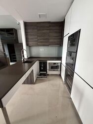 The Scotts Tower (D9), Condominium #600963841